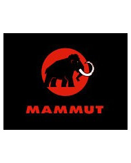 Mammut